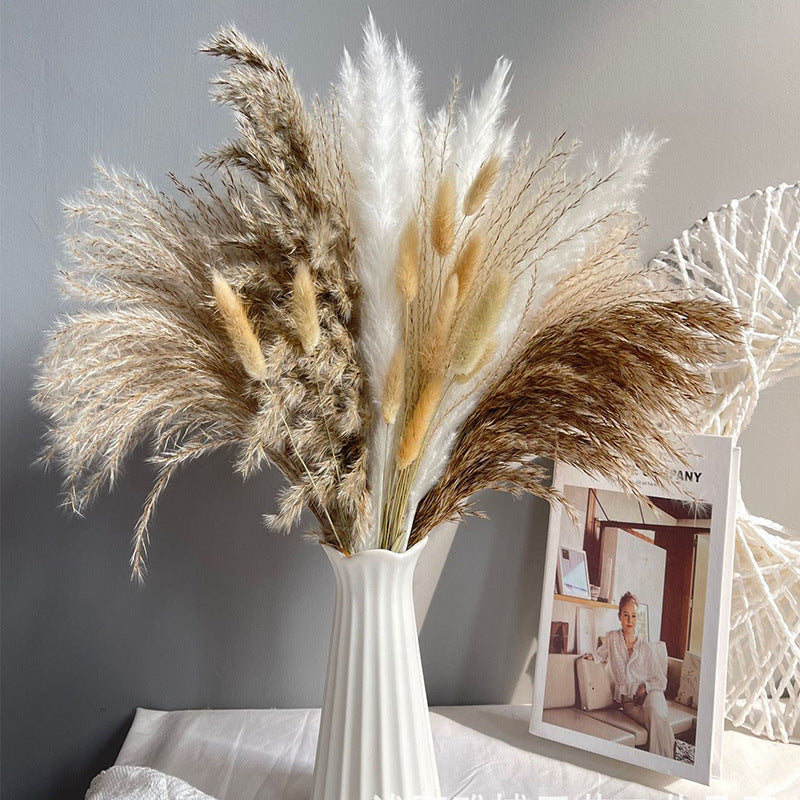 Boho-Chic Natural Dried Pampas Reeds - Hand-Selected Decorative Bouquet