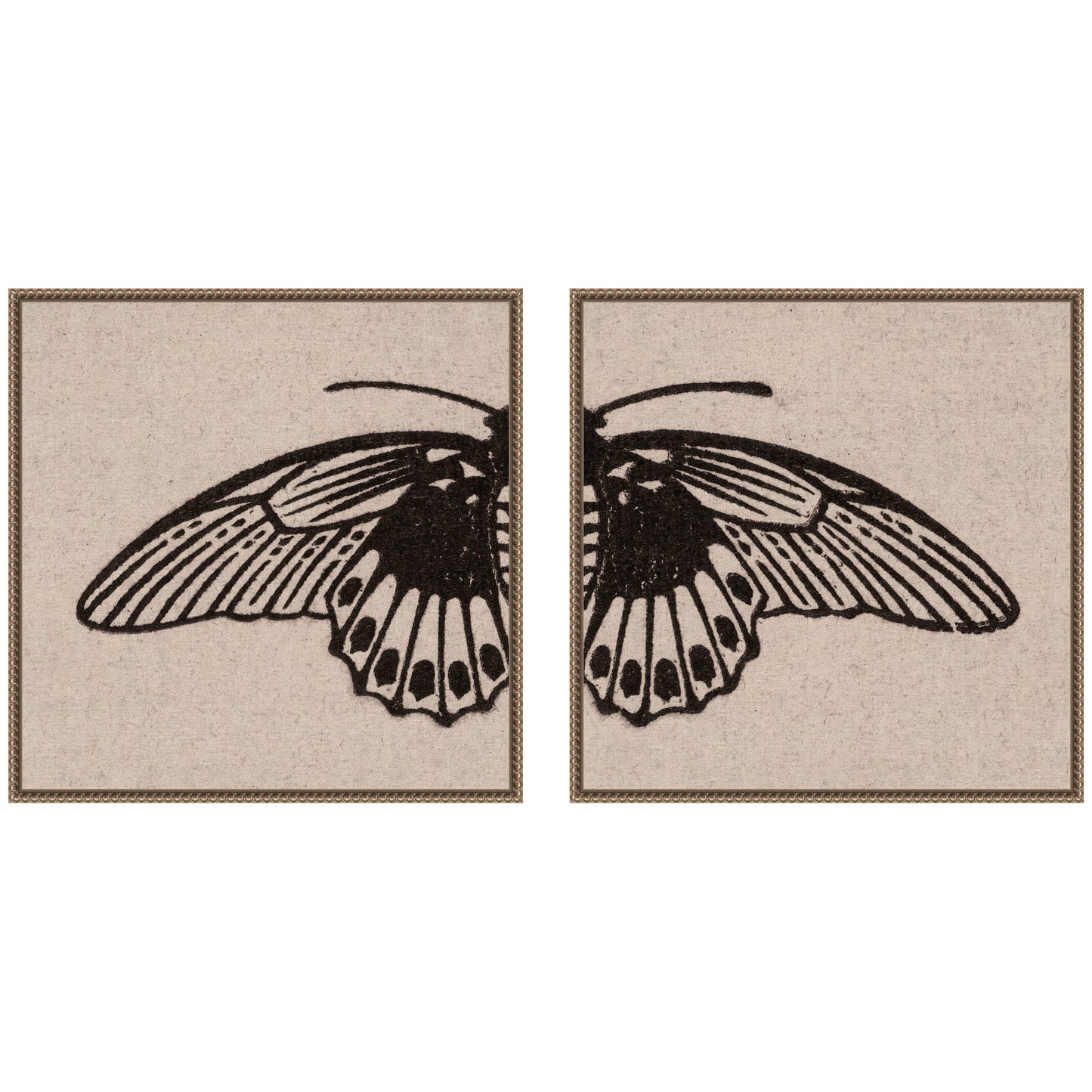 Vlinder 1901 Julie de Graag No. 1 & No. 2 2 Piece Framed Canvas Wall Art Set by Nostalgia Prints