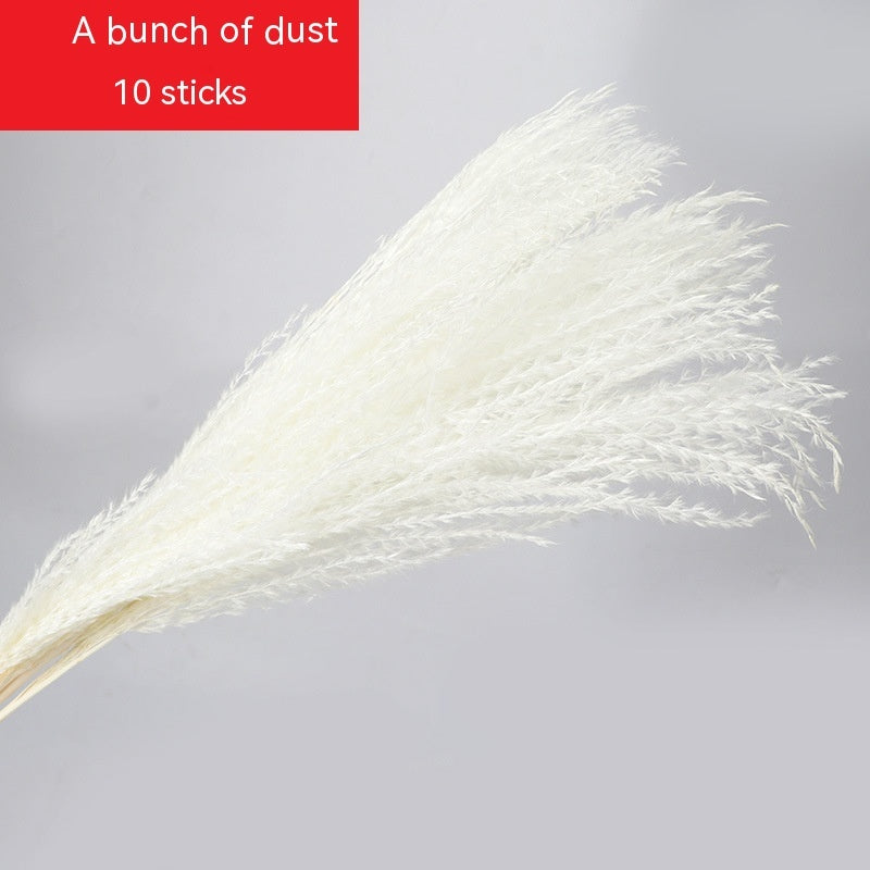 Golden Harvest Dried Wheat Stems - 100pc Natural Sun-Dried Bouquet for Rustic Home & Wedding Decor