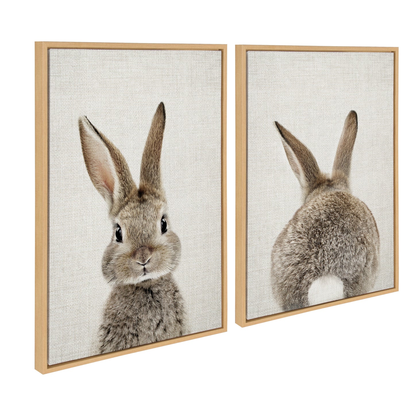 Sylvie Bunny Portrait and Bunny Tail Framed Canvas Art Set by Amy Peterson Art Studio