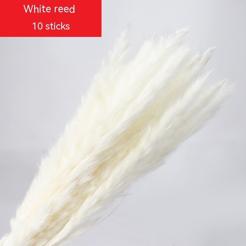 Golden Harvest Dried Wheat Stems - 100pc Natural Sun-Dried Bouquet for Rustic Home & Wedding Decor