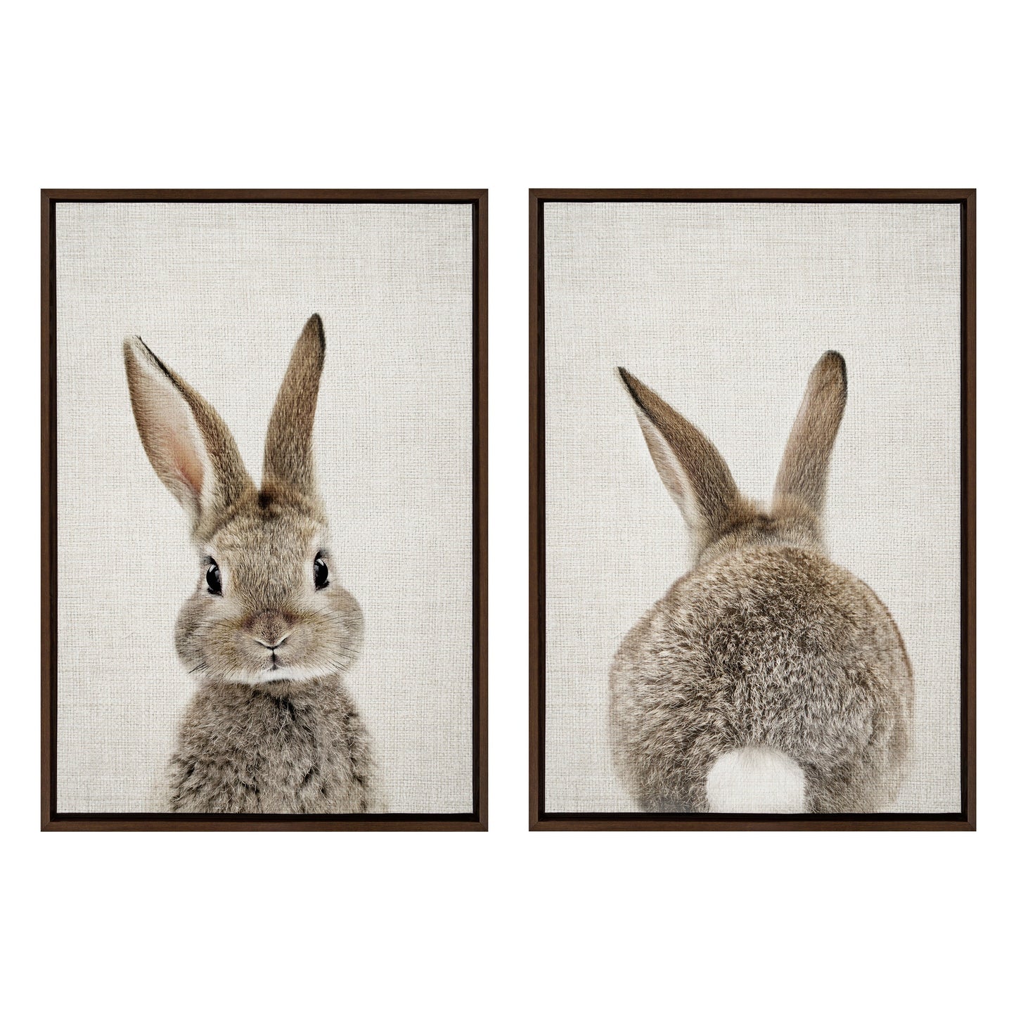 Sylvie Bunny Portrait and Bunny Tail Framed Canvas Art Set by Amy Peterson Art Studio