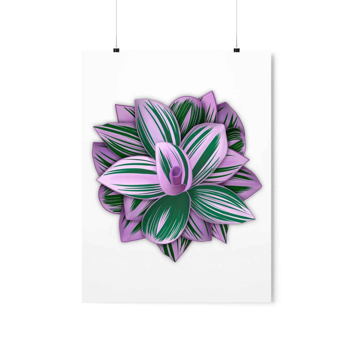 Tradescantia Nanouk Botanical Print – Unframed Wall Art