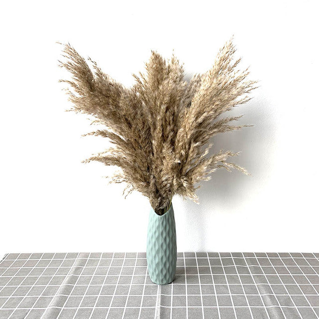 Luxe Cloud Pampas Grass - Extra Fluffy Natural Dried Stems for Floor Vases & Boho Wedding Decor