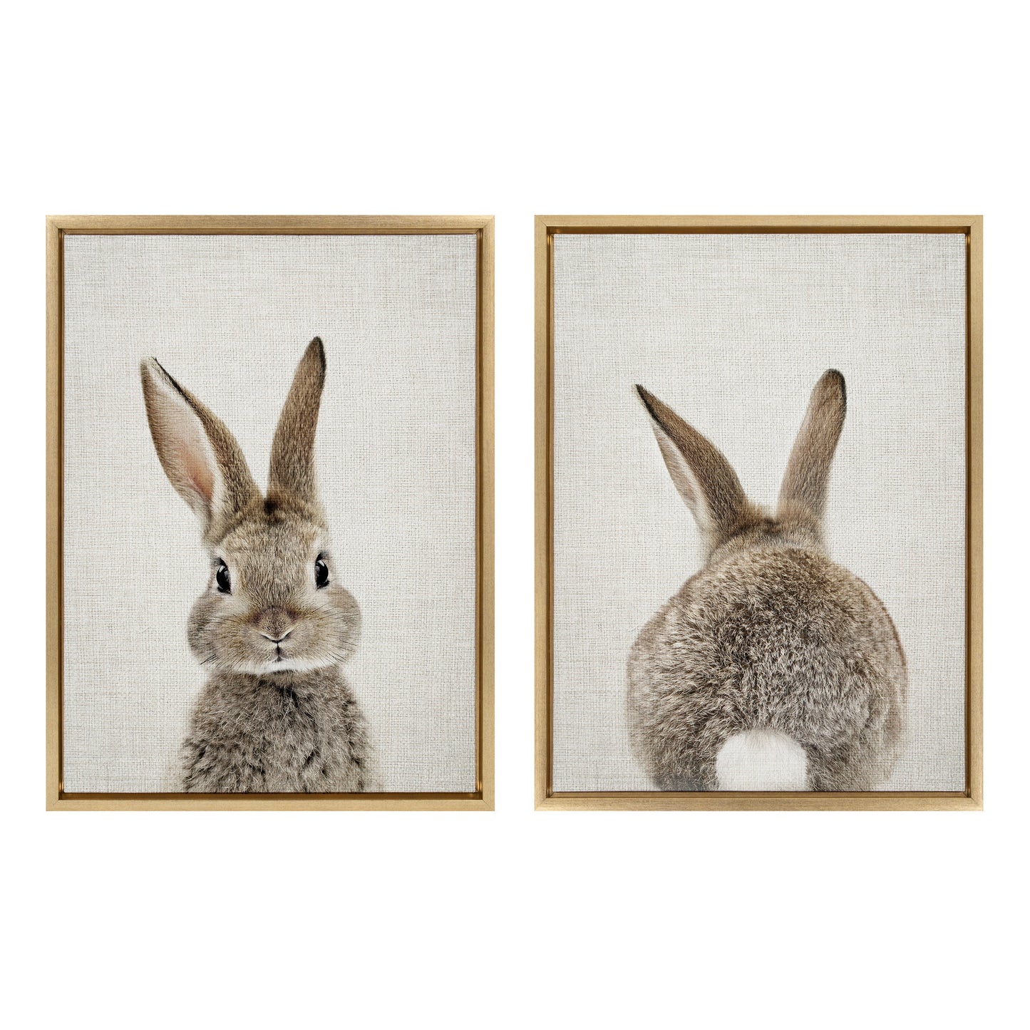 Sylvie Bunny Portrait and Bunny Tail Framed Canvas Art Set by Amy Peterson Art Studio