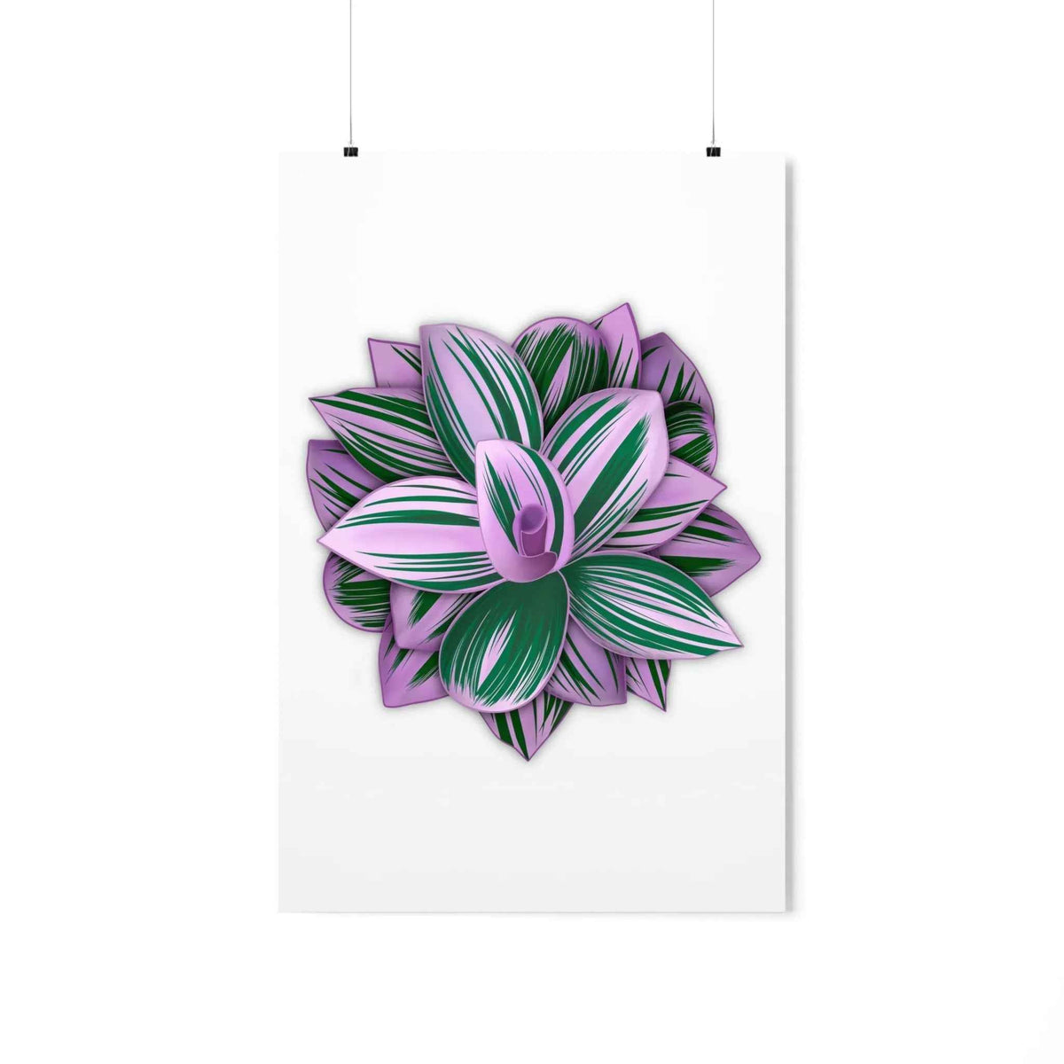 Tradescantia Nanouk Botanical Print – Unframed Wall Art