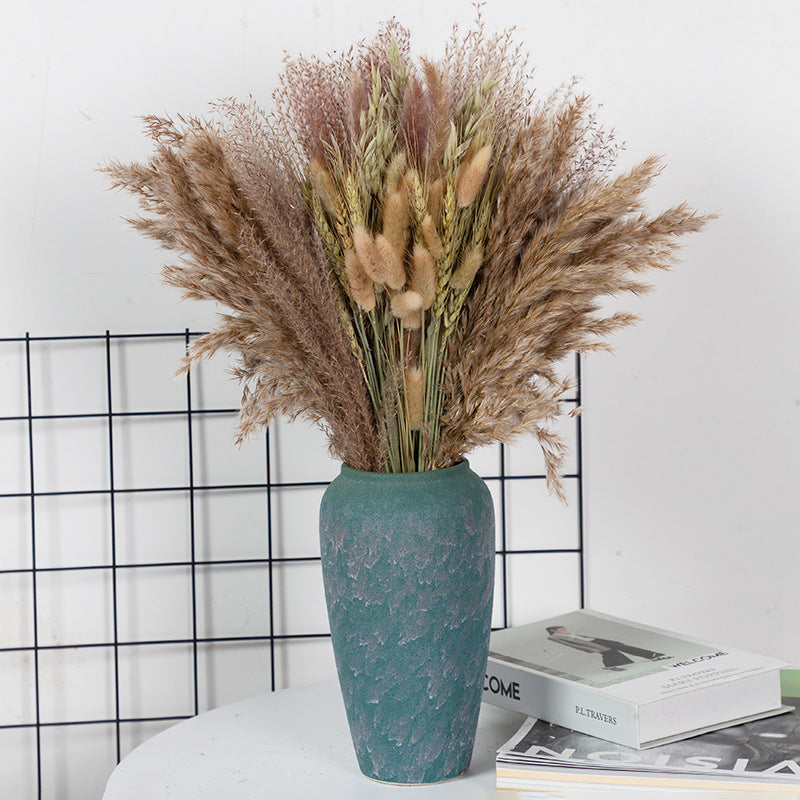 Boho-Chic Natural Dried Pampas Reeds - Hand-Selected Decorative Bouquet