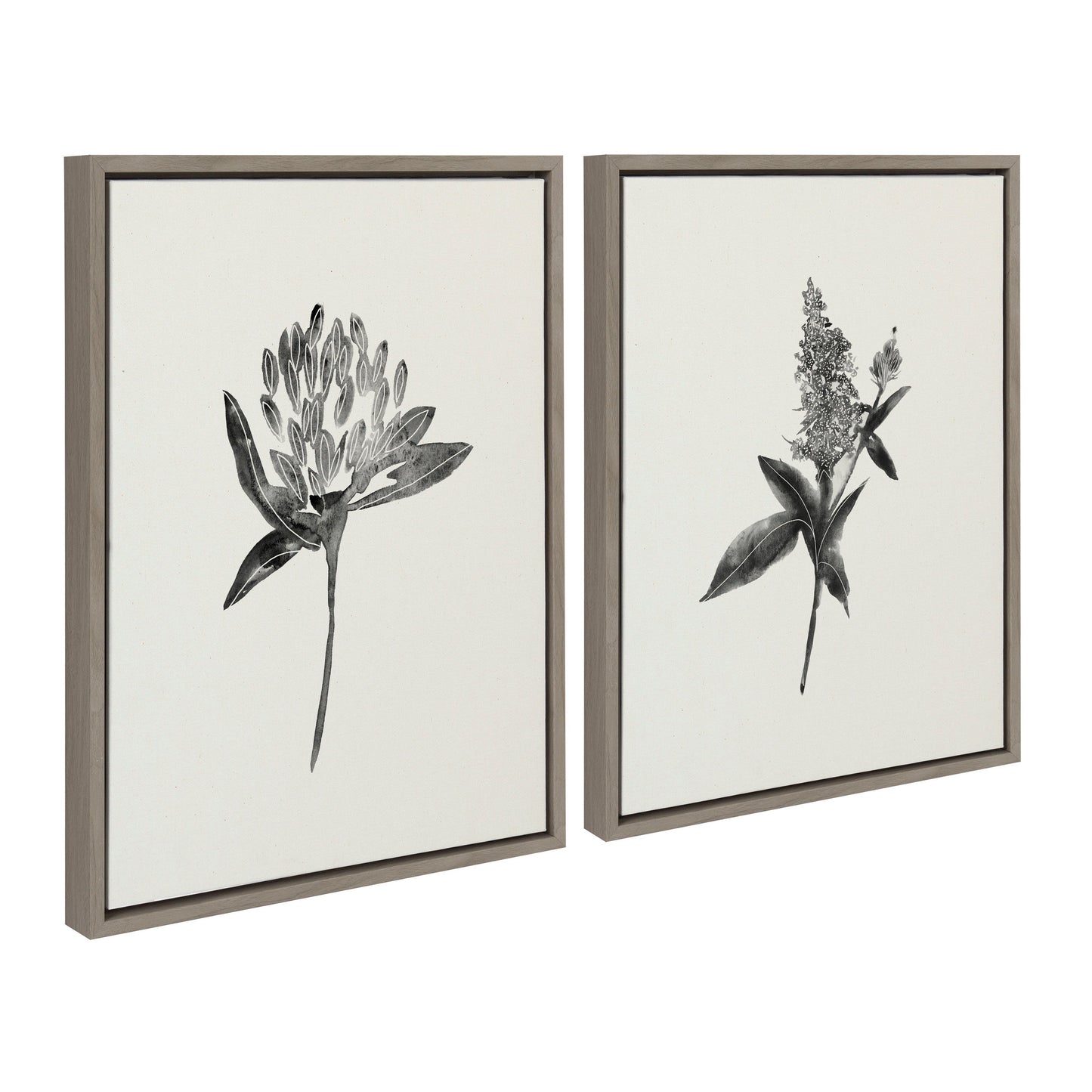 Sylvie Vintage Botanical 1 and 2 Framed Canvas by Teju Reval of SnazzyHues
