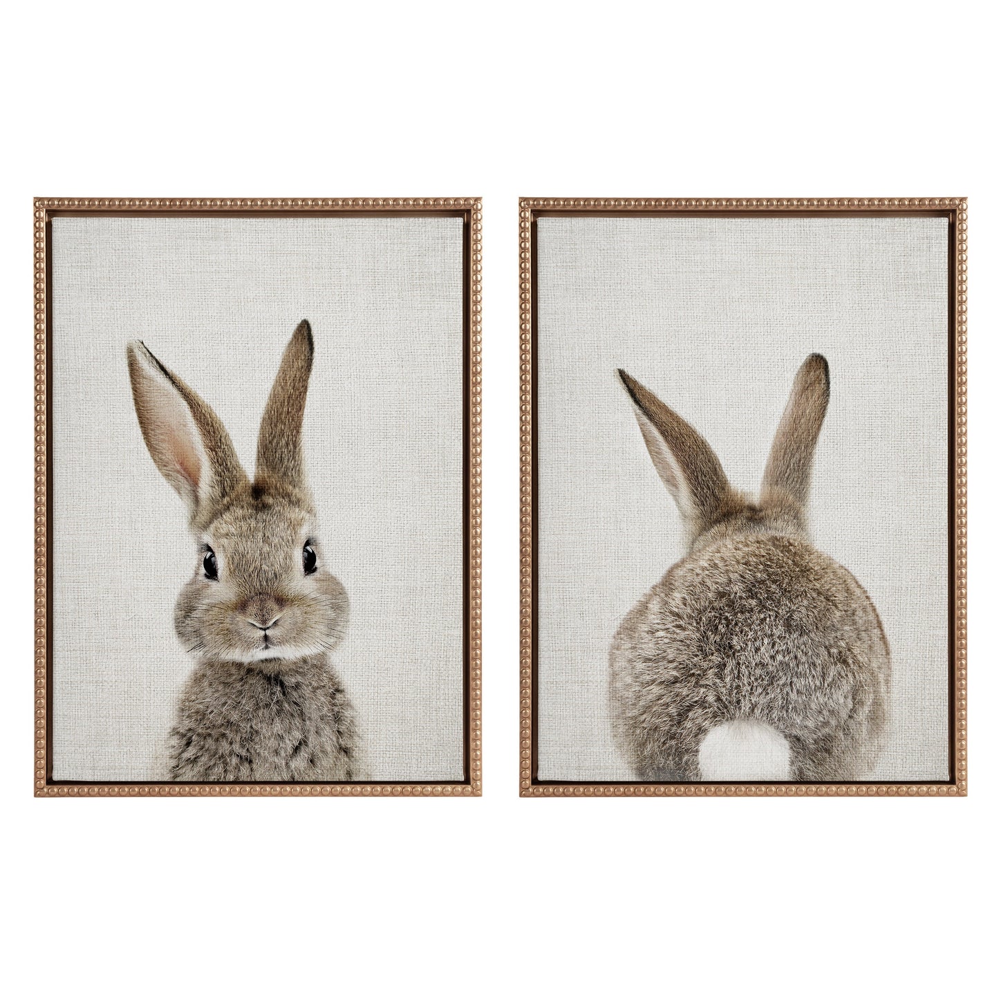 Sylvie Bunny Portrait and Bunny Tail Framed Canvas Art Set by Amy Peterson Art Studio