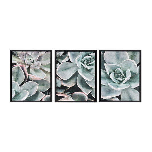 Set of three framed succulent plant artworks on a white background
