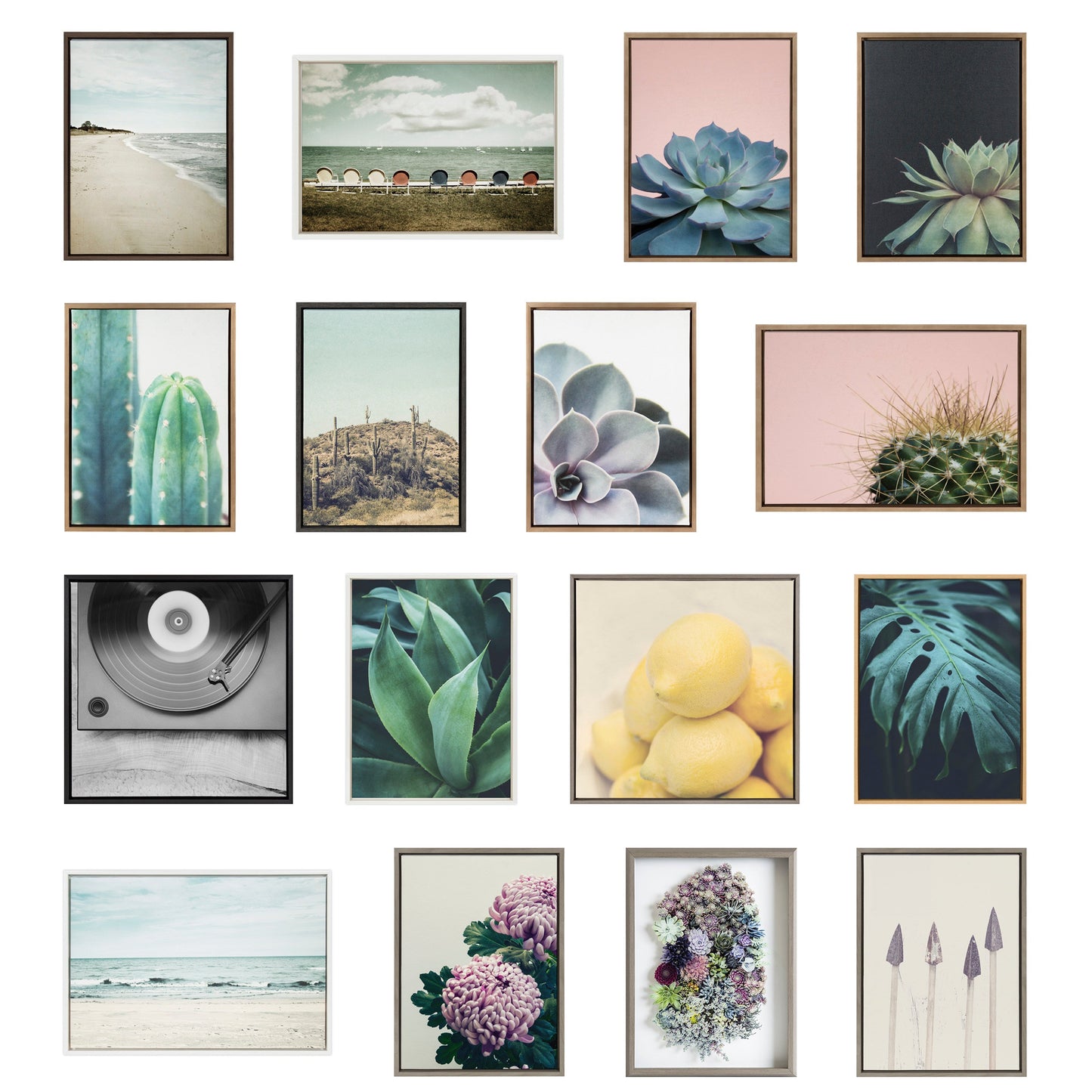 Sylvie Tree Rings Set Framed Canvas by Emiko and Mark Franzen of F2Images