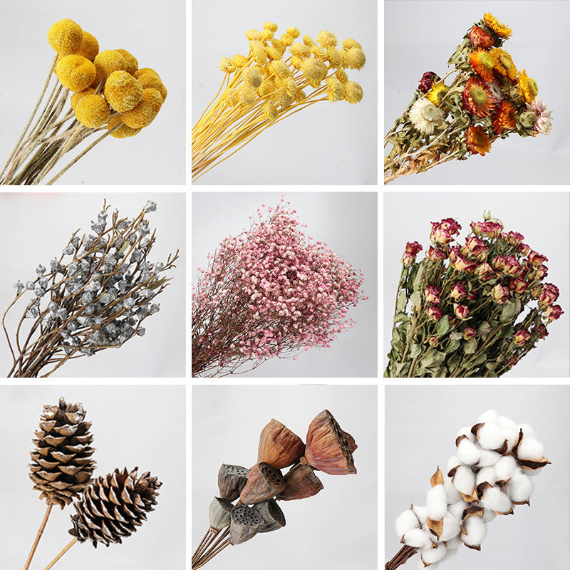 Golden Harvest Dried Wheat Stems - 100pc Natural Sun-Dried Bouquet for Rustic Home & Wedding Decor