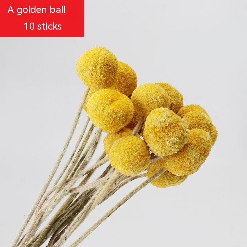 Golden Harvest Dried Wheat Stems - 100pc Natural Sun-Dried Bouquet for Rustic Home & Wedding Decor