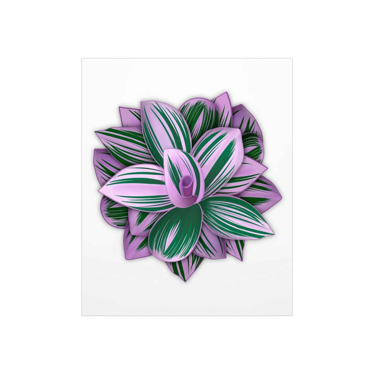 Tradescantia Nanouk Botanical Print – Unframed Wall Art
