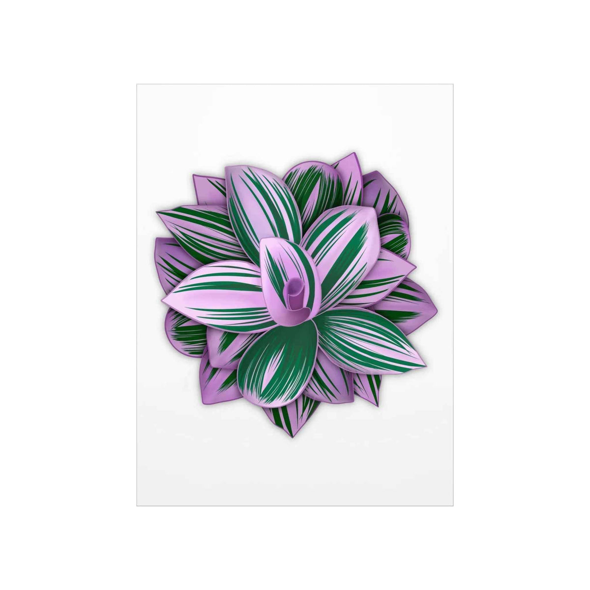 Tradescantia Nanouk Botanical Print – Unframed Wall Art