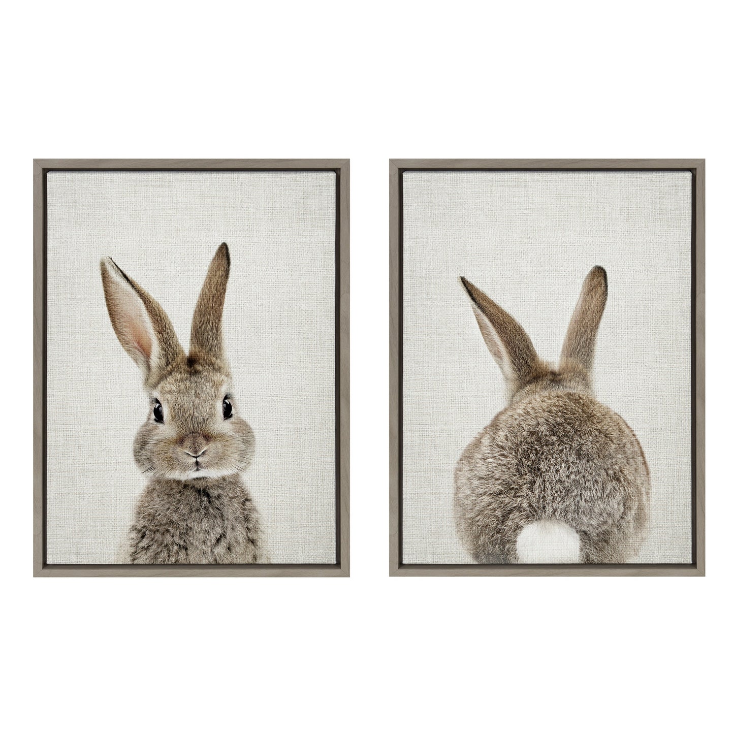 Sylvie Bunny Portrait and Bunny Tail Framed Canvas Art Set by Amy Peterson Art Studio