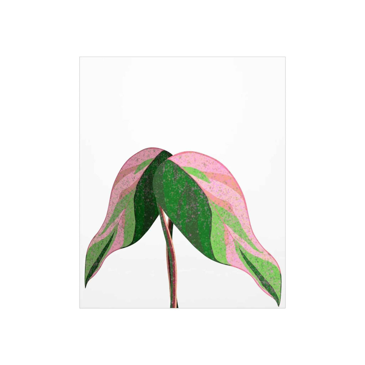 Pink Princess Philodendron Botanical Print – Unframed Wall Art