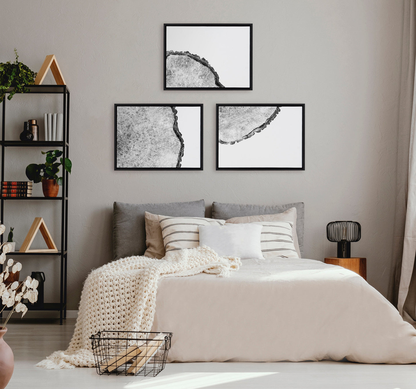 Sylvie Tree Rings Set Framed Canvas by Emiko and Mark Franzen of F2Images