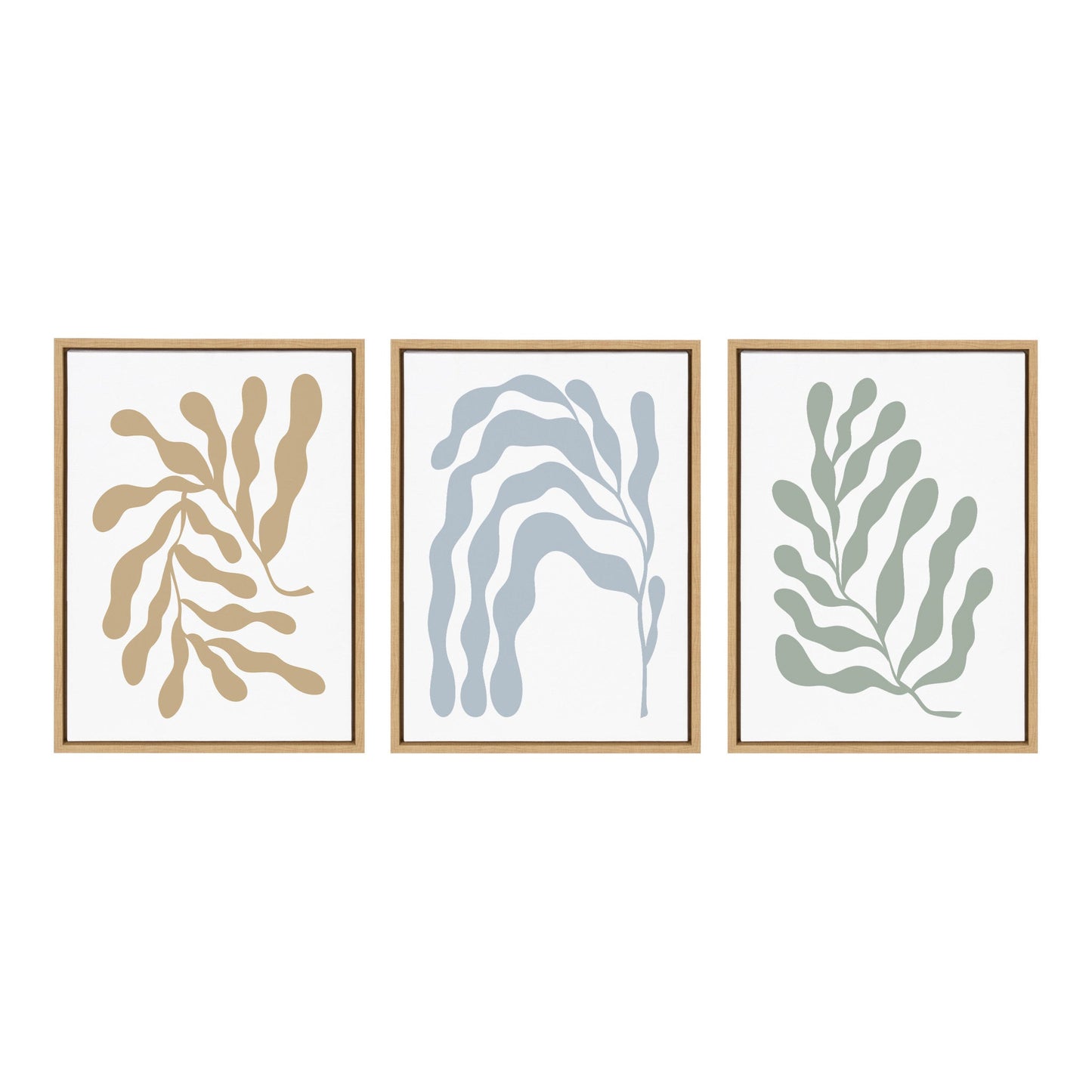 Three framed abstract art prints with different leaf-like patterns on a white background
