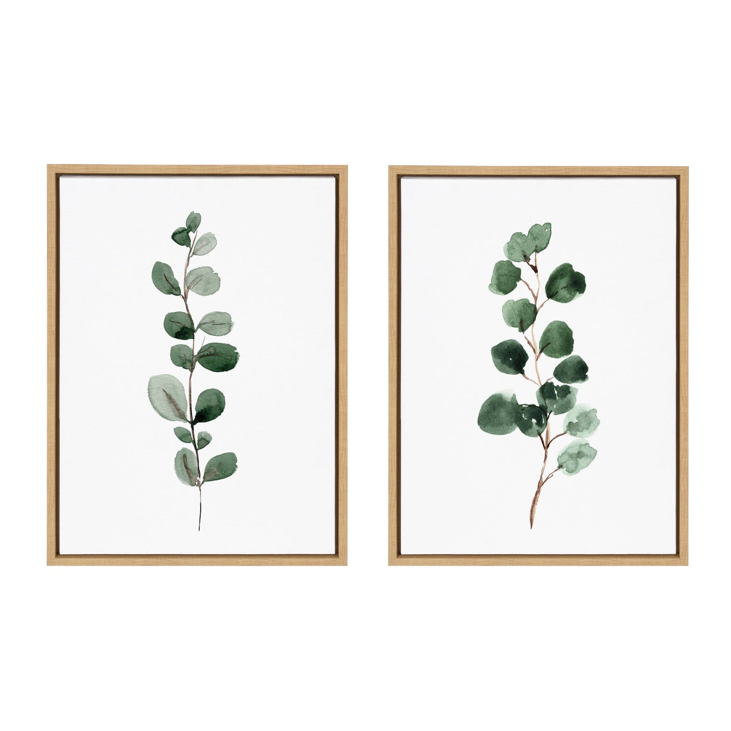 Eucalyptus Framed Canvas Set by Maja Mitrovic