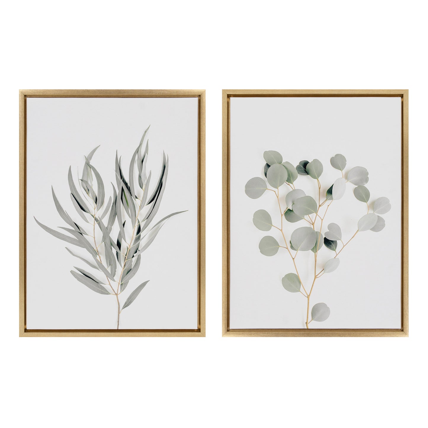 Sylvie Neutral Botanical 1 and 2 Framed Canvas Set by The Creative Bunch Studio
