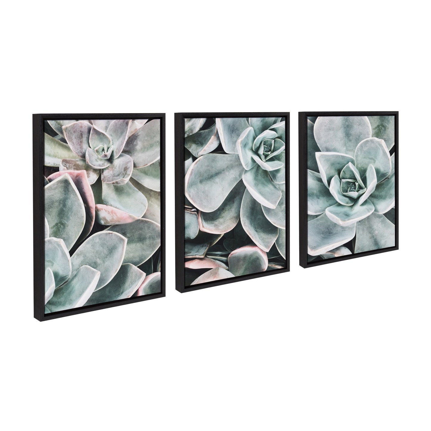 Modern Botanical Succulent Plants 3-Piece Framed Canvas Wall Art Set