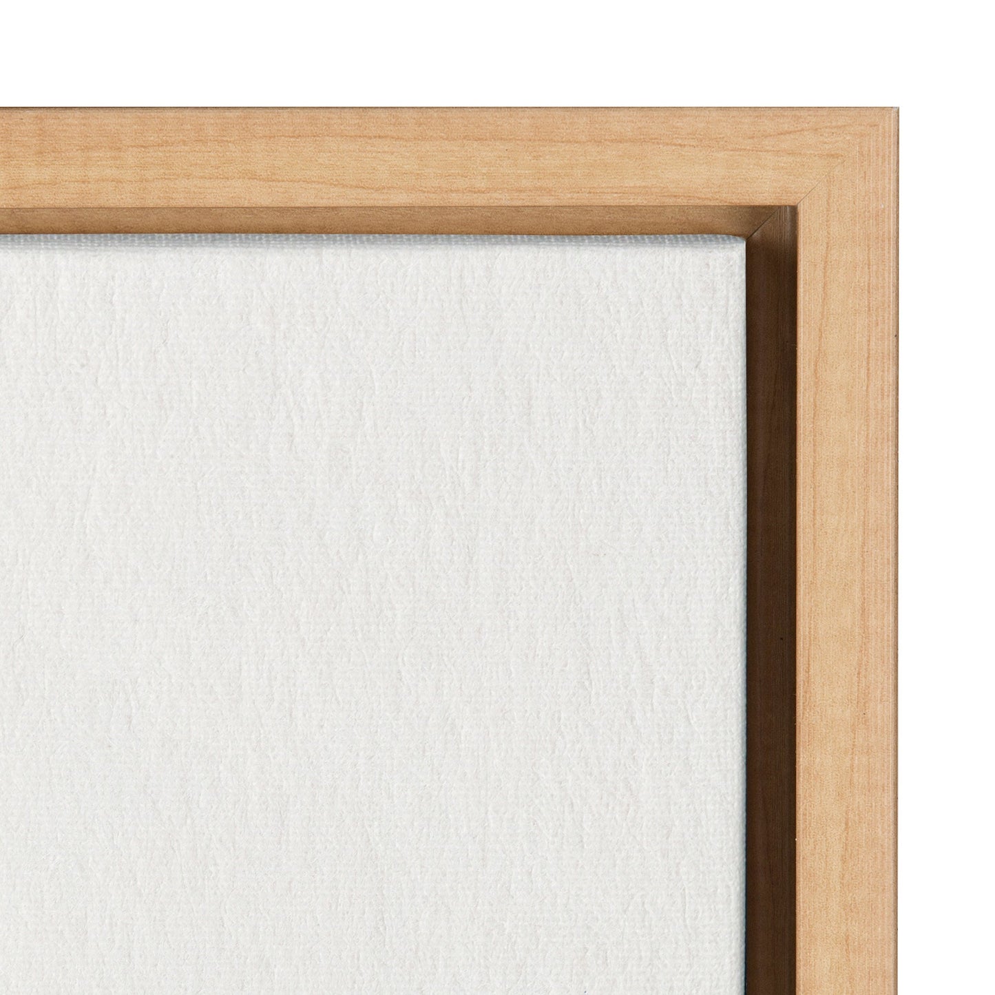 Sylvie Navy Ginkgo and Navy Ginkgo Trio Framed Canvas by Cat Coquillette