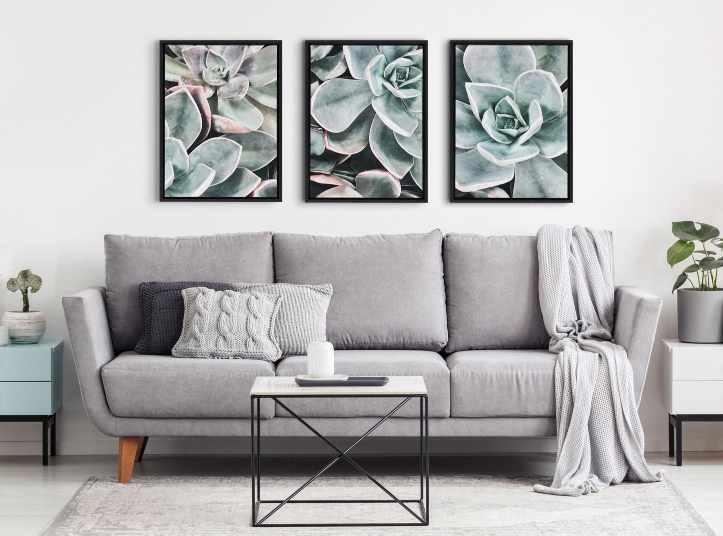 Modern Botanical Succulent Plants 3-Piece Framed Canvas Wall Art Set